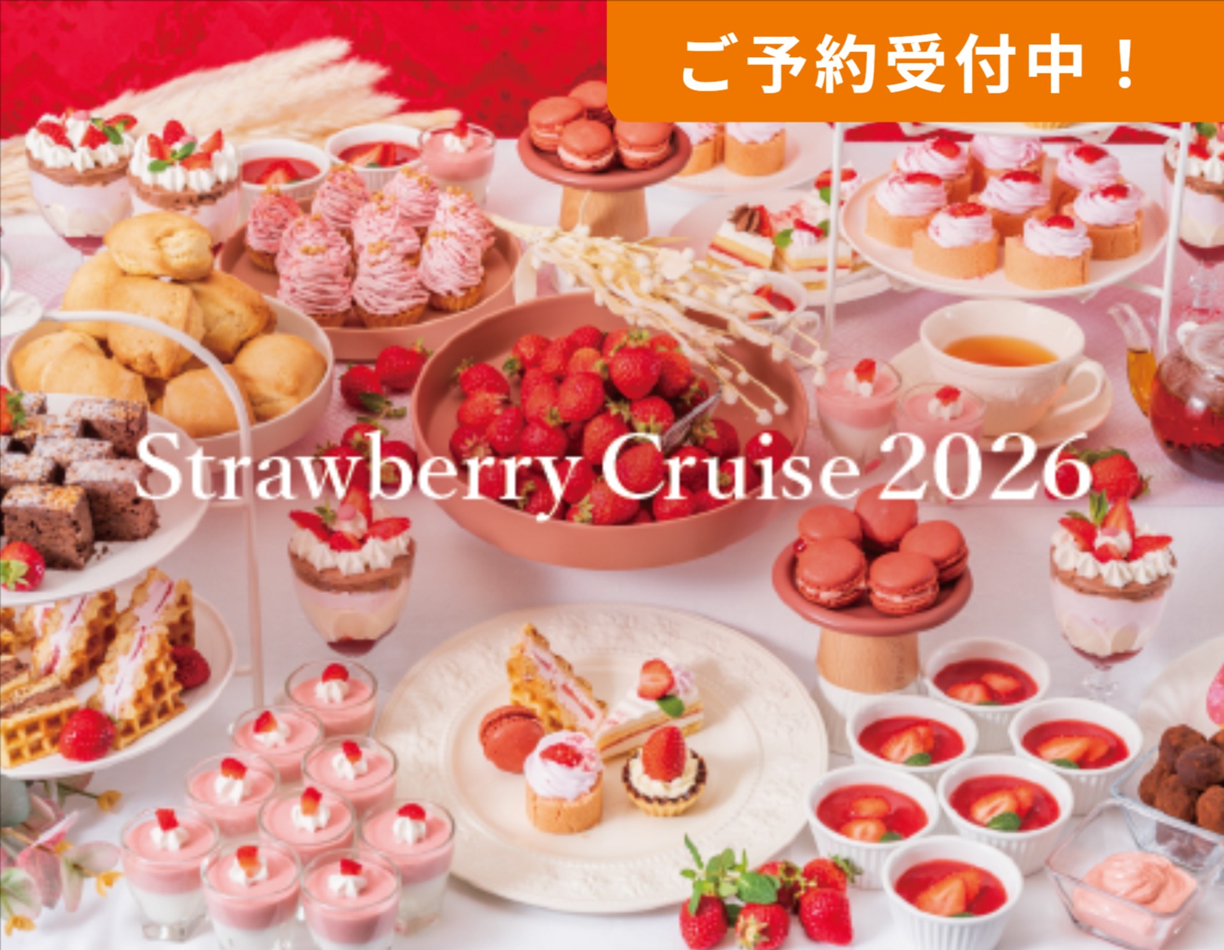 コンチェルト＆ルミナス神戸2 カルーセル4